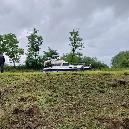 Le Martin Pecheur Au Bord Du Canal De L'est *