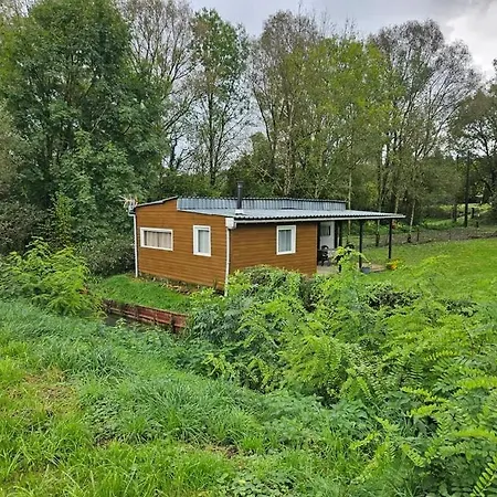 Le Martin Pecheur Au Bord Du Canal De L'est